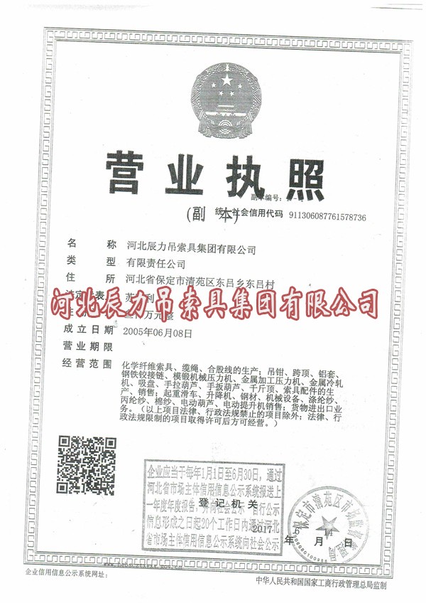 辰力集團(tuán)營業(yè)執(zhí)照