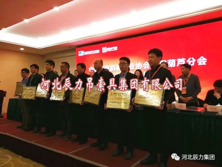 辰力集團(tuán)被評為***配套件企業(yè)